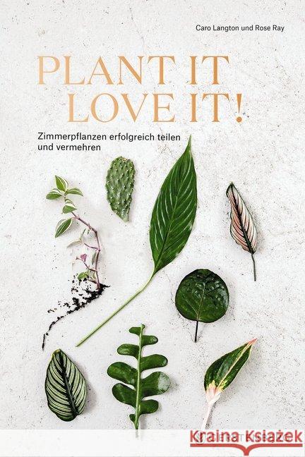 Plant it - Love it! : Zimmerpflanzen erfolgreich teilen und vermehren Langton, Caro; Ray, Rose 9783836921619 Gerstenberg Verlag