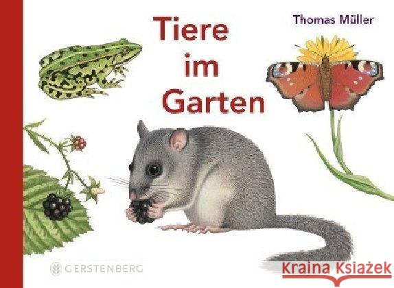 Tiere im Garten Müller, Thomas 9783836956703