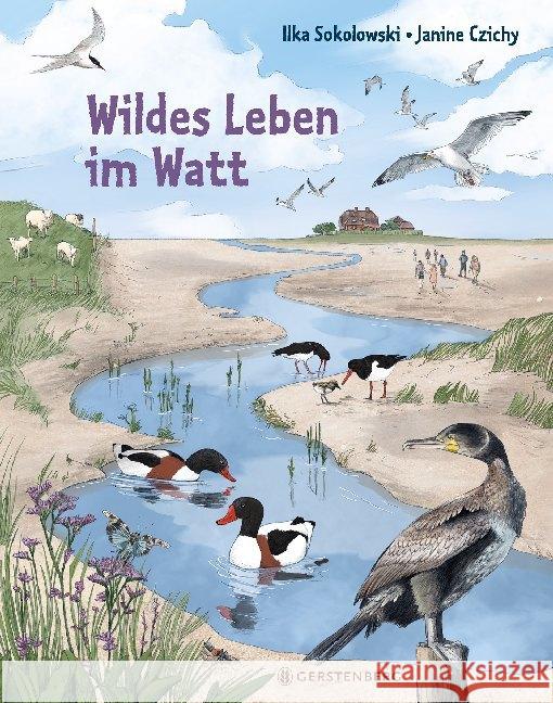 Wildes Leben im Watt Sokolowski, Ilka 9783836956963 Gerstenberg Verlag
