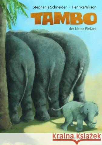 Tambo, der kleine Elefant Wilson, Henrike; Schneider, Stephanie 9783836958776 Gerstenberg Verlag