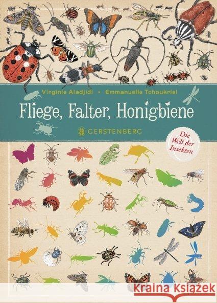 Fliege, Falter, Honigbiene : Die Welt der Insekten Aladjidi, Virginie 9783836959117 Gerstenberg Verlag