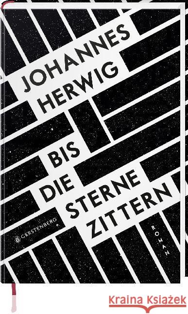 Bis die Sterne zittern : Roman. Ausgezeichnet mit dem Korbinian - Paul-Maar-Preis für junge Talente 2017 Herwig, Johannes 9783836959551 Gerstenberg Verlag