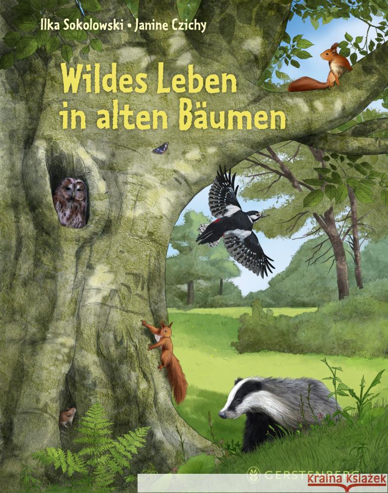 Wildes Leben in alten Bäumen Sokolowski, Ilka 9783836962230
