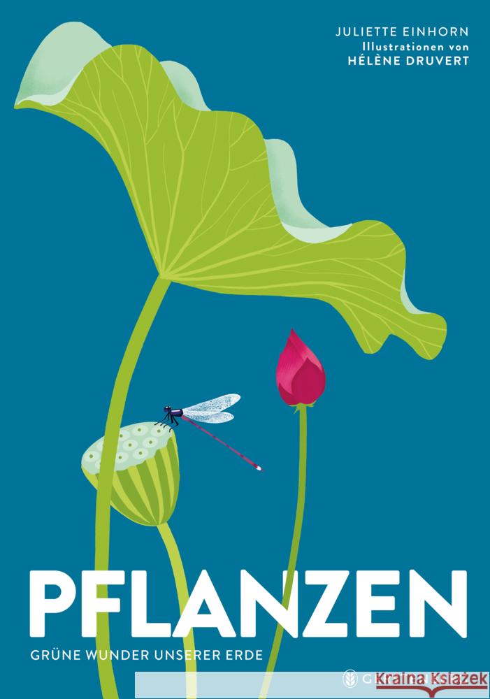 Pflanzen Druvert, Hélène 9783836962285 Gerstenberg Verlag