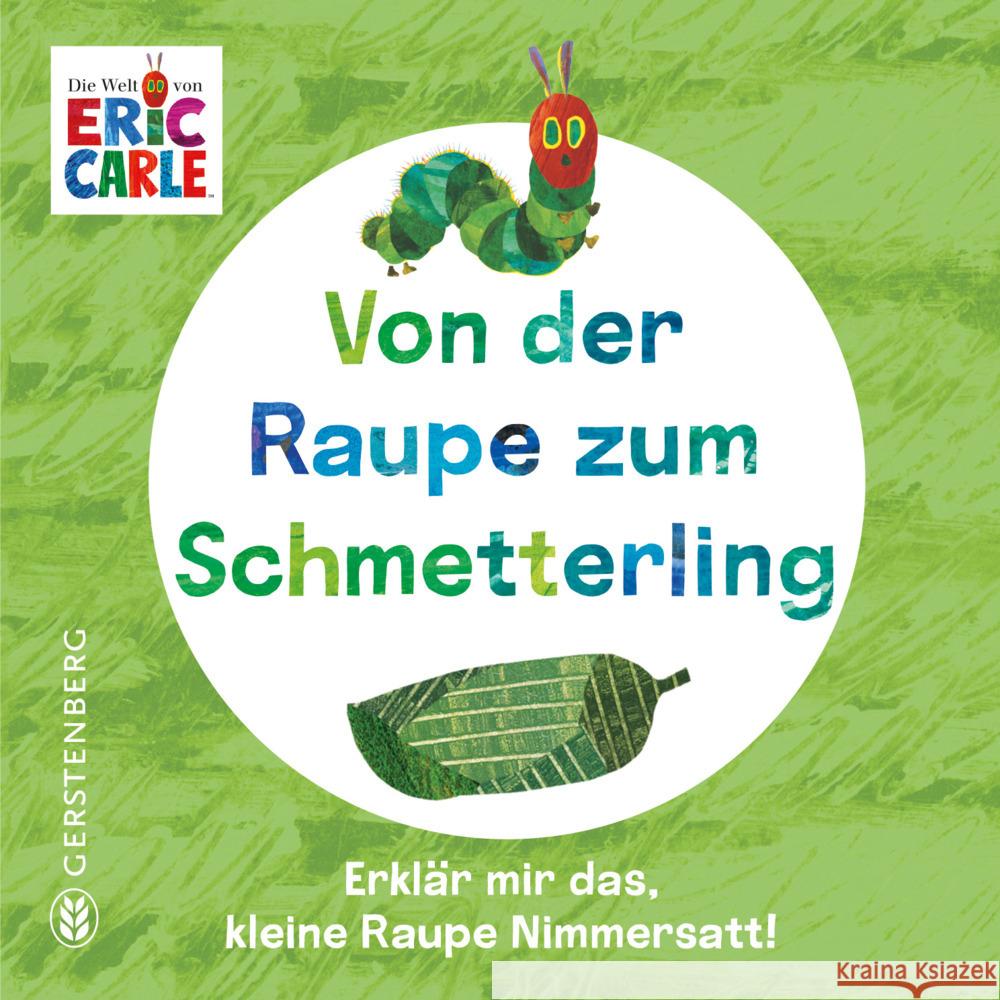 Von der Raupe zum Schmetterling Carle, Eric 9783836963008