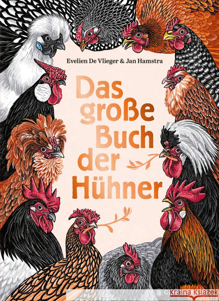 Das große Buch der Hühner De Vlieger, Evelien 9783836963312
