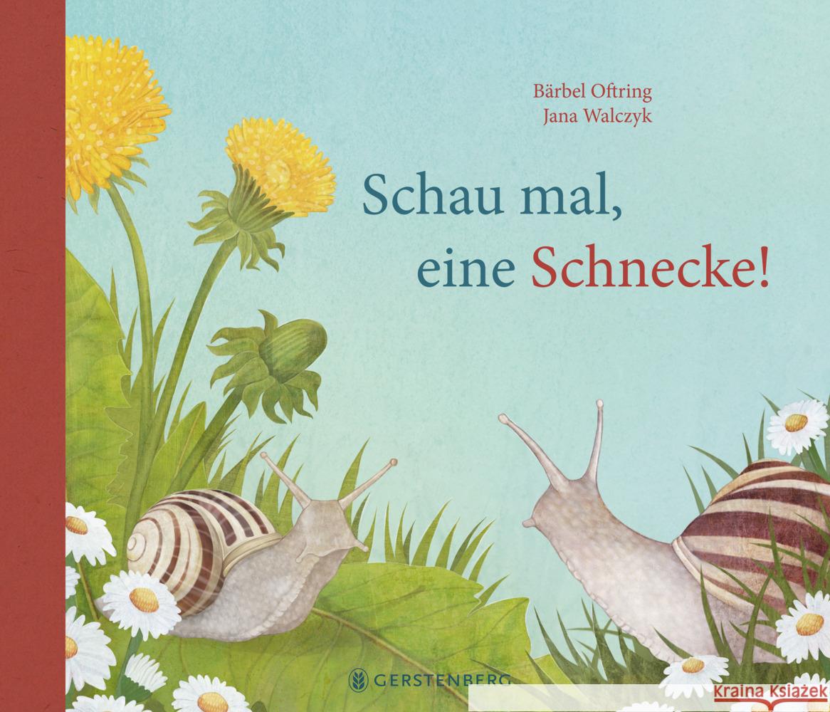 Schau mal, eine Schnecke! Oftring, Bärbel 9783836963619 Gerstenberg Verlag