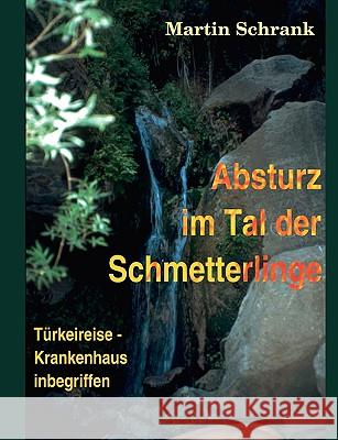 Absturz im Tal der Schmetterlinge: Türkeireise - Krankenhaus inbegriffen Schrank, Martin 9783837013559