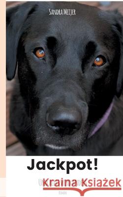 Jackpot! : Und alles wird anders Sandra Meijer 9783837035681