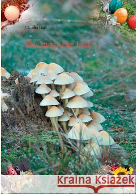 Das magische Jahr Claudia Liath 9783837043068 Books on Demand
