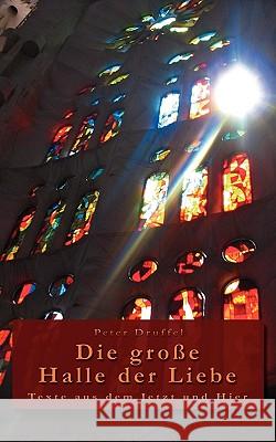 Die große Halle der Liebe: Texte aus dem Jetzt und Hier Druffel, Peter 9783837071788