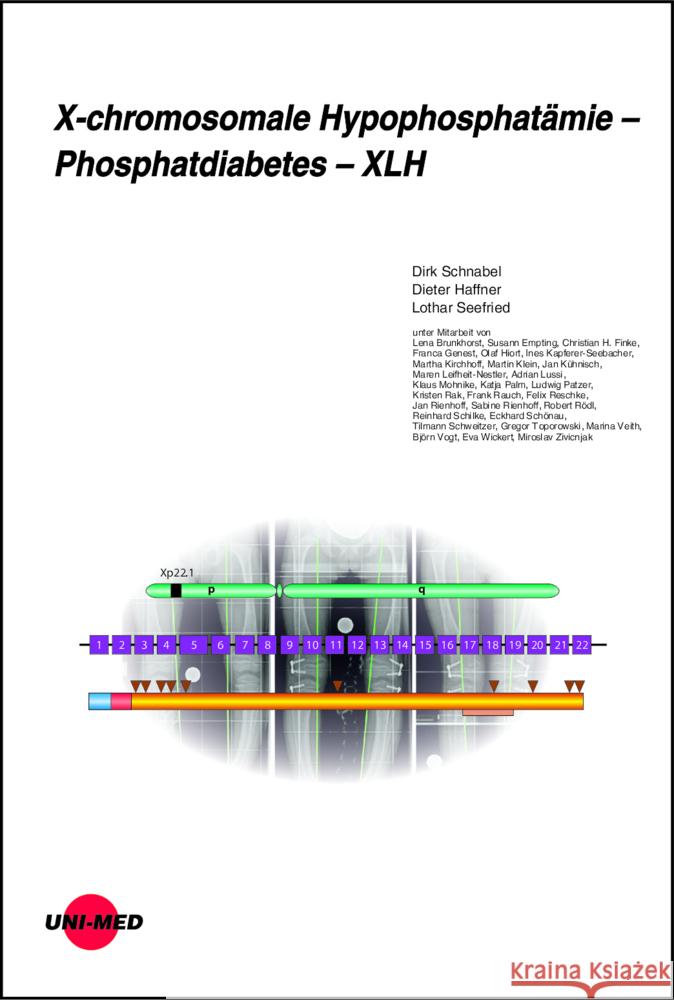 X-chromosomale Hypophosphatämie - Phosphatdiabetes - XLH Schnabel, Dirk, Haffner, Dieter, Seefried, Lothar 9783837424423