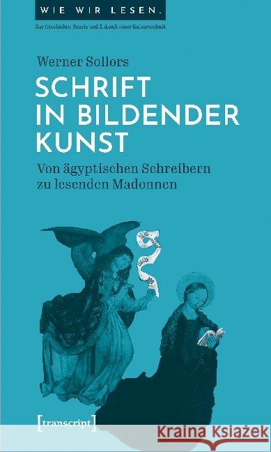 Schrift in bildender Kunst Sollors, Werner 9783837652987 transcript Verlag