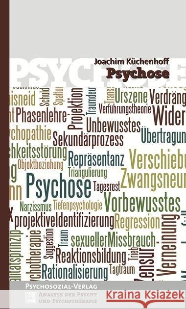 Psychose Küchenhoff, Joachim 9783837921106 Psychosozial-Verlag