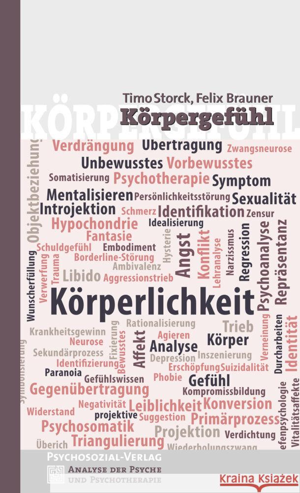 Körpergefühl Storck, Timo, Brauner, Felix 9783837927580 Psychosozial-Verlag