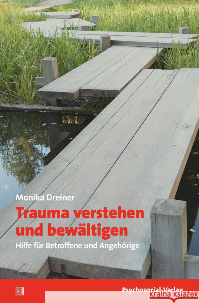 Trauma verstehen und bewältigen Dreiner, Monika 9783837930108 Psychosozial-Verlag