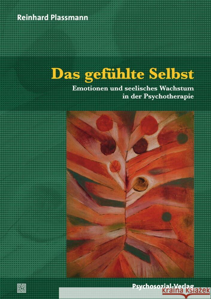 Das gefühlte Selbst Plassmann, Reinhard 9783837931297