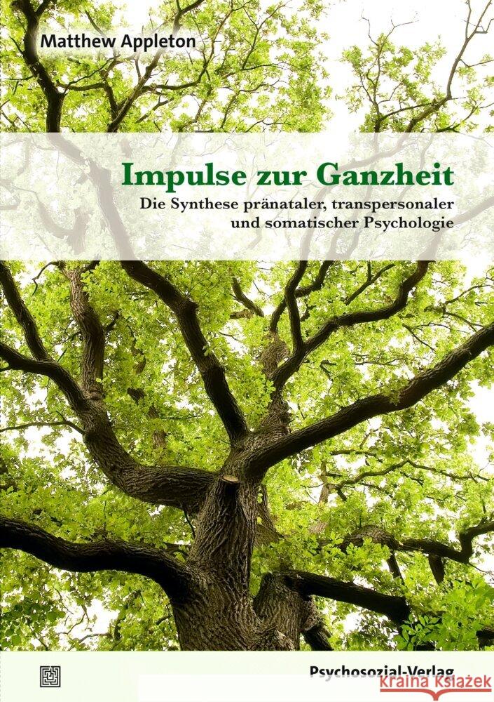 Impulse zur Ganzheit Appleton, Matthew 9783837933437 Psychosozial-Verlag