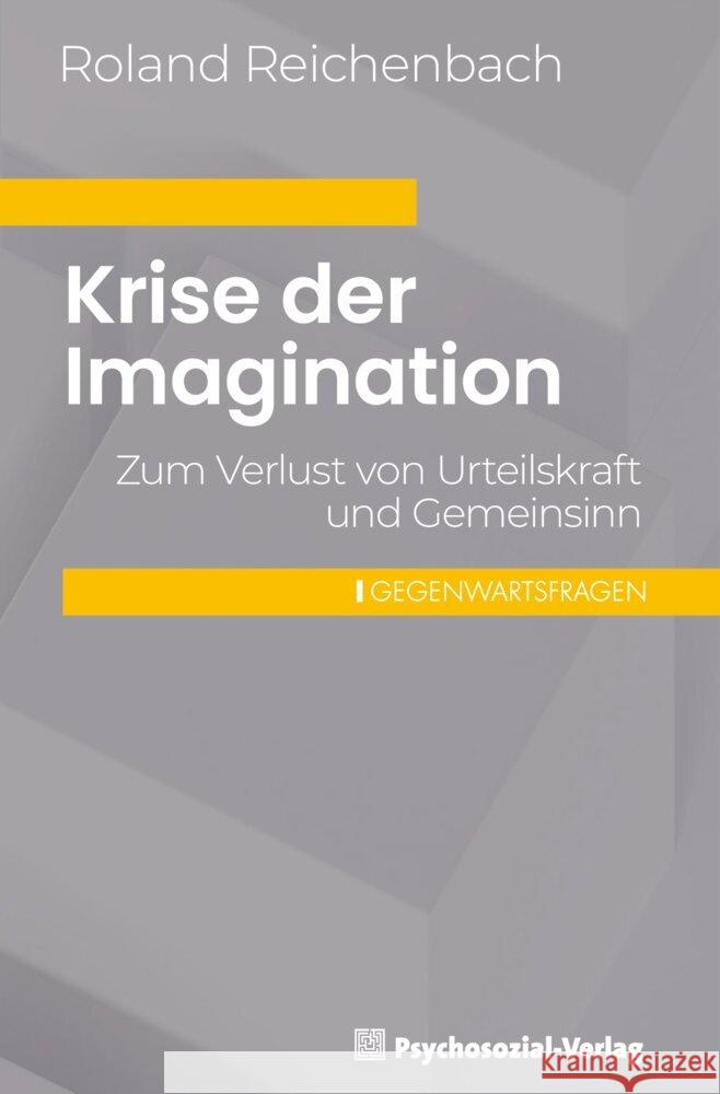 Krise der Imagination Reichenbach, Roland 9783837933789
