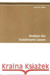 Analyse des Sozialraums Liezen Raffalt, Andrea M. 9783838103389 Südwestdeutscher Verlag für Hochschulschrifte