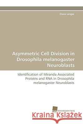 Asymmetric Cell Division in Drosophila Melanogaster Neuroblasts Diana Langer 9783838112473 Sudwestdeutscher Verlag Fur Hochschulschrifte