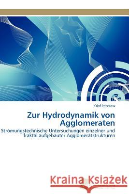 Zur Hydrodynamik von Agglomeraten Pritzkow Olaf 9783838128078