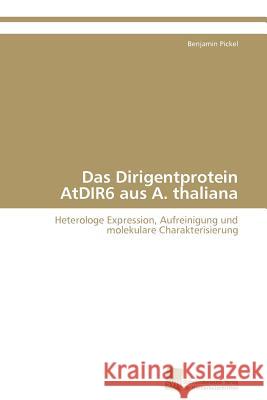 Das Dirigentprotein AtDIR6 aus A. thaliana Pickel Benjamin 9783838129488