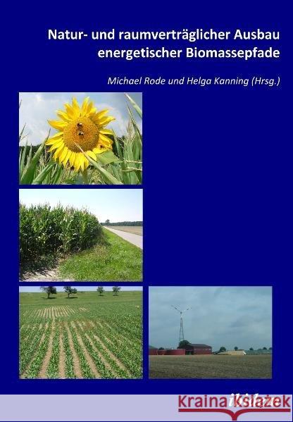 Natur- und raumverträglicher Ausbau energetischer Biomassepfade Rode, Michael Kanning, Helga  9783838200255 ibidem