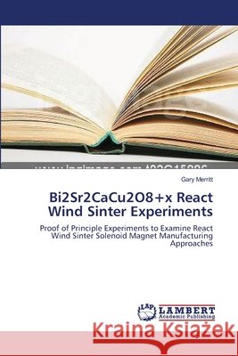 Bi2Sr2CaCu2O8+x React Wind Sinter Experiments Merritt, Gary 9783838300269