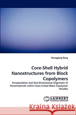 Core-Shell Hybrid Nanostructures from Block Copolymers Youngjong Kang 9783838317847 LAP Lambert Academic Publishing