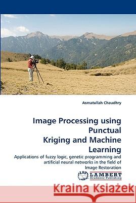 Image Processing Using Punctual Kriging and Machine Learning Asmatullah Chaudhry 9783838322681