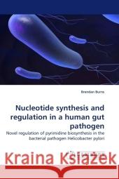 Nucleotide synthesis and regulation in a human gut pathogen : Novel regulation of pyrimidine biosynthesis in the bacterial pathogen Helicobacter pylori Burns, Brendan 9783838324548