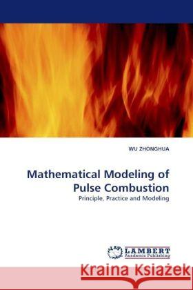 Mathematical Modeling of Pulse Combustion : Principle, Practice and Modeling Zhonghua, Wu 9783838327075