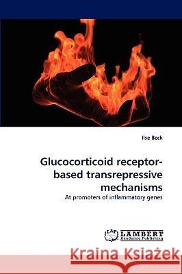 Glucocorticoid Receptor-Based Transrepressive Mechanisms Ilse Beck 9783838339887 LAP Lambert Academic Publishing