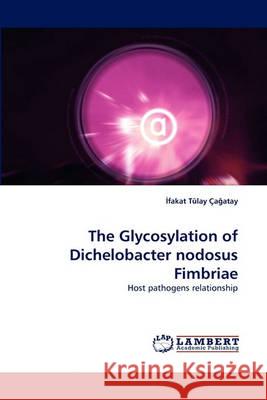 The Glycosylation of Dichelobacter nodosus Fimbriae İfakat Tülay Çağatay 9783838356990 LAP Lambert Academic Publishing