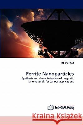 Ferrite Nanoparticles  9783838362243 LAP Lambert Academic Publishing AG & Co KG