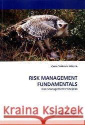 Risk Management Fundamentals John Chibaya Mbuya 9783838363738 LAP Lambert Academic Publishing