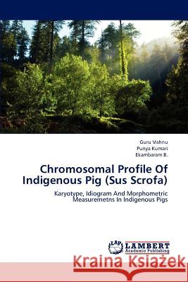 Chromosomal Profile of Indigenous Pig (Sus Scrofa) Vishnu Guru, Kumari Punya, B Ekambaram 9783838368184 LAP Lambert Academic Publishing