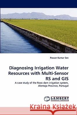 Diagnosing Irrigation Water Resources with Multi-Sensor RS and GIS  9783838372242 LAP Lambert Academic Publishing AG & Co KG