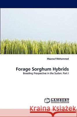 Forage Sorghum Hybrids Maarouf Mohammed 9783838379326 LAP Lambert Academic Publishing
