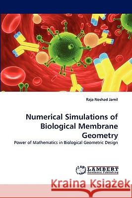 Numerical Simulations of Biological Membrane Geometry  9783838383248 LAP Lambert Academic Publishing AG & Co KG