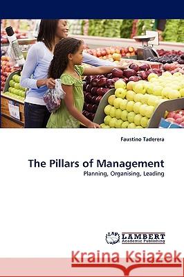 The Pillars of Management Faustino Taderera 9783838384139