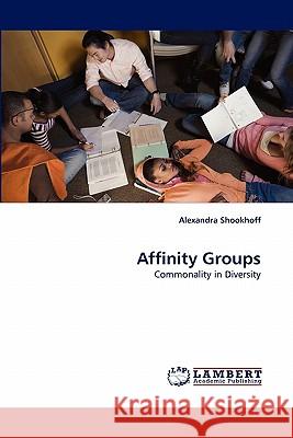 Affinity Groups  9783838384924 LAP Lambert Academic Publishing AG & Co KG