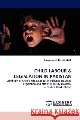 Child Labour Muhammad Shahid Malik 9783838384993