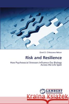 Risk and Resilience  9783838385563 LAP Lambert Academic Publishing AG & Co KG