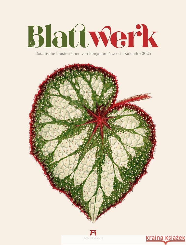 Blattwerk - Botanische Illustrationen Kalender 2025 Fawcett, Benjamin, Ackermann Kunstverlag 9783838425177