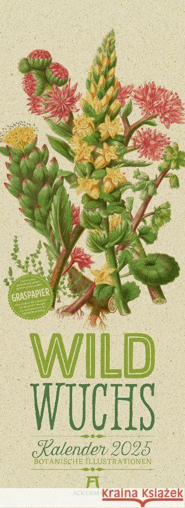 Wildwuchs - Botanische Illustrationen - Graspapier-Kalender 2025 Pratt, Anne, Ackermann Kunstverlag 9783838425290 Ackermann Kunstverlag