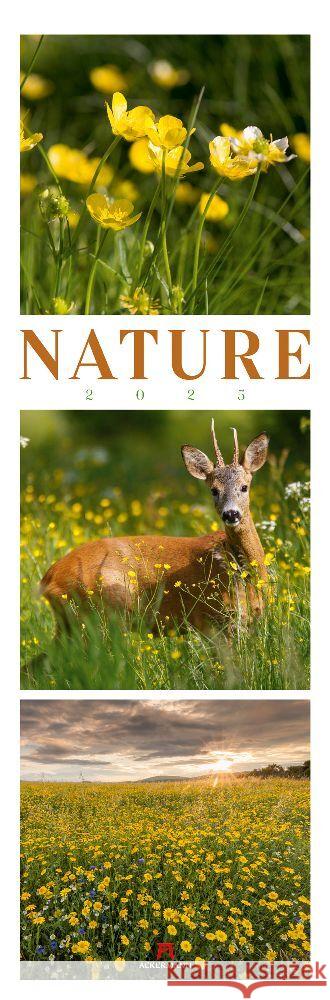 Nature Triplet-Kalender 2025 Ackermann Kunstverlag 9783838425566