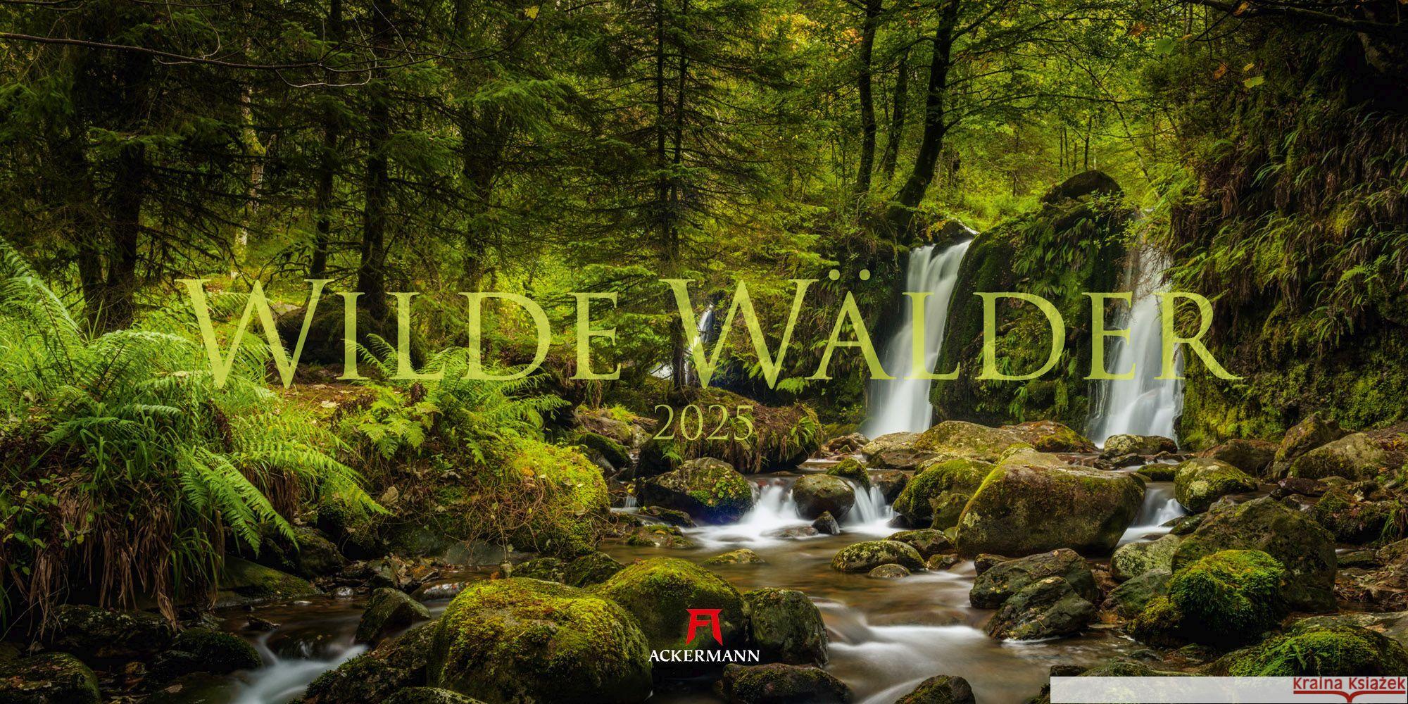 Wilde Wälder Kalender 2025 Ackermann Kunstverlag 9783838425597