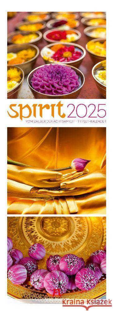 Spirit Triplet-Kalender 2025 Ackermann Kunstverlag 9783838425641